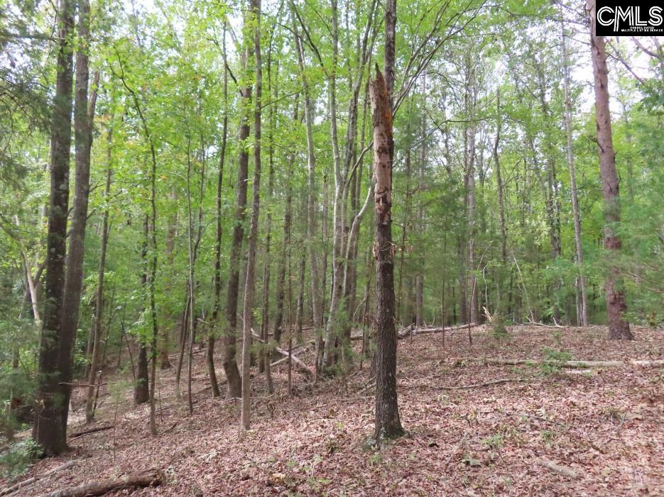 Starnes Road, Chesterfield, South Carolina image 2