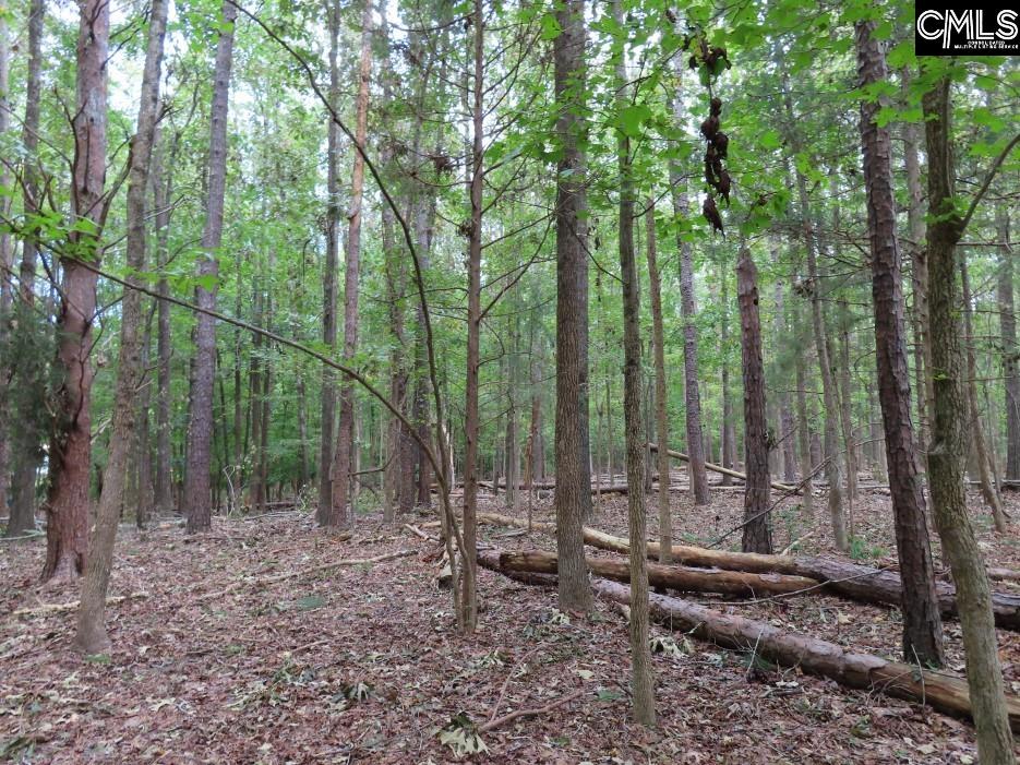 Starnes Road, Chesterfield, South Carolina image 13