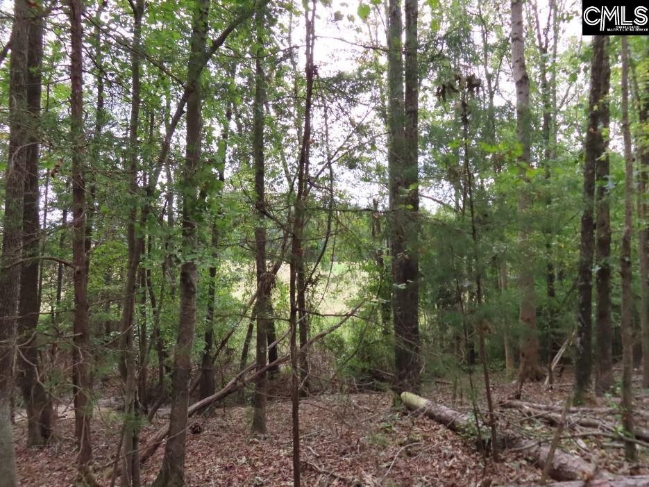 Starnes Road, Chesterfield, South Carolina image 14