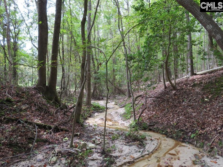 Starnes Road, Chesterfield, South Carolina image 15