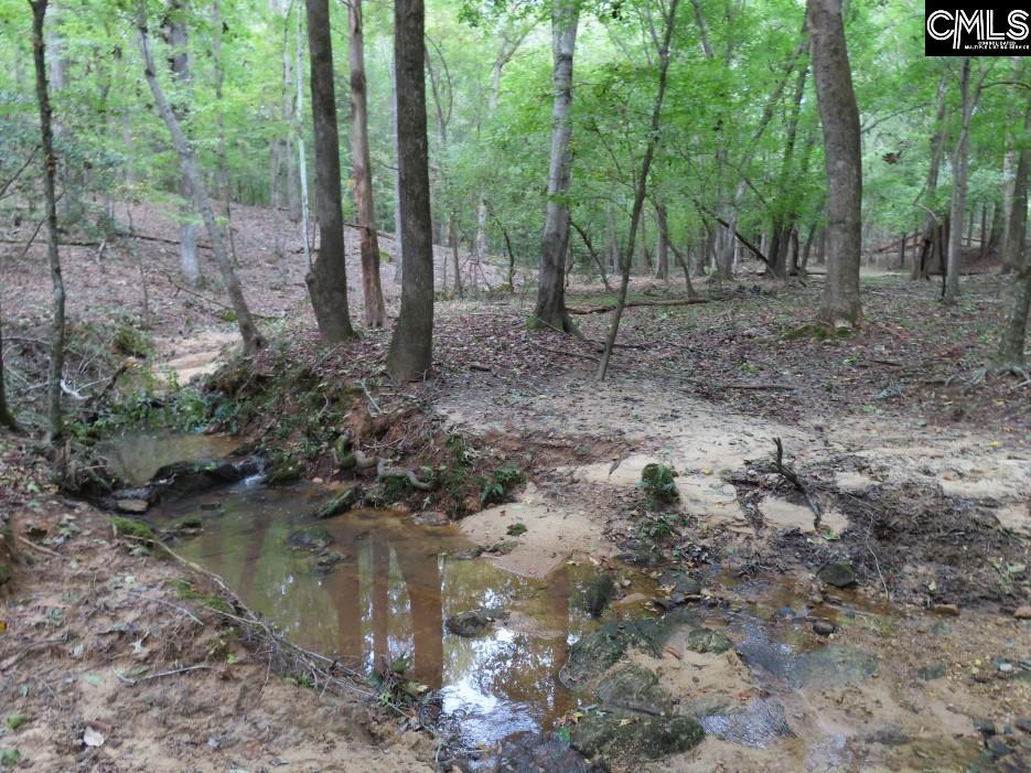 Starnes Road, Chesterfield, South Carolina image 18