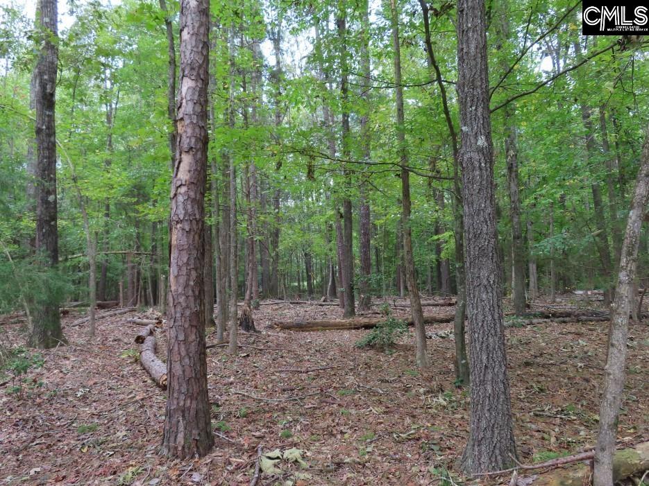 Starnes Road, Chesterfield, South Carolina image 19