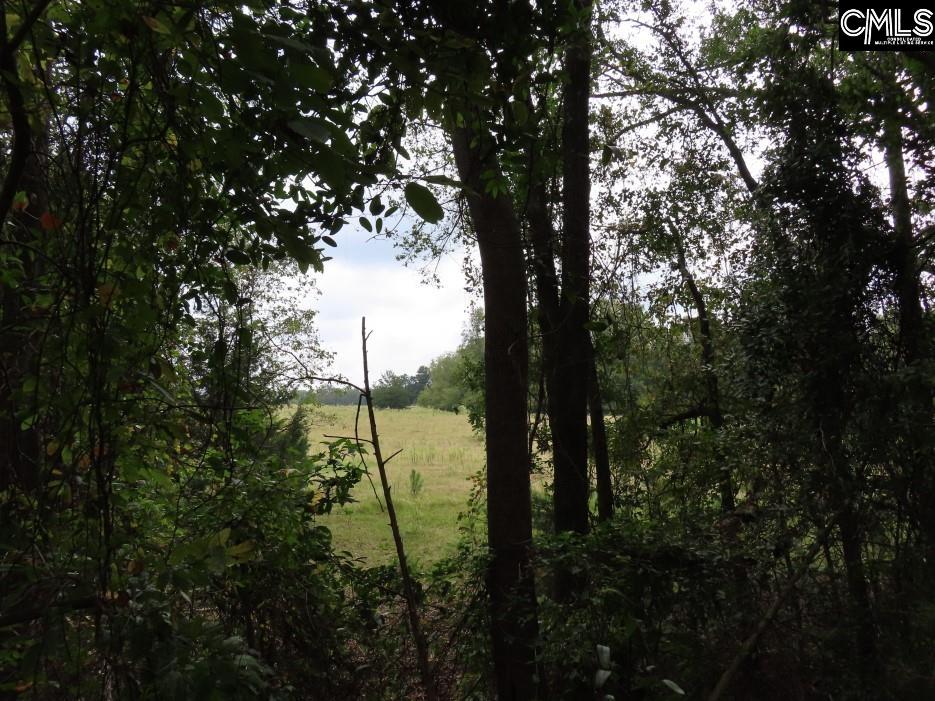 Starnes Road, Chesterfield, South Carolina image 3