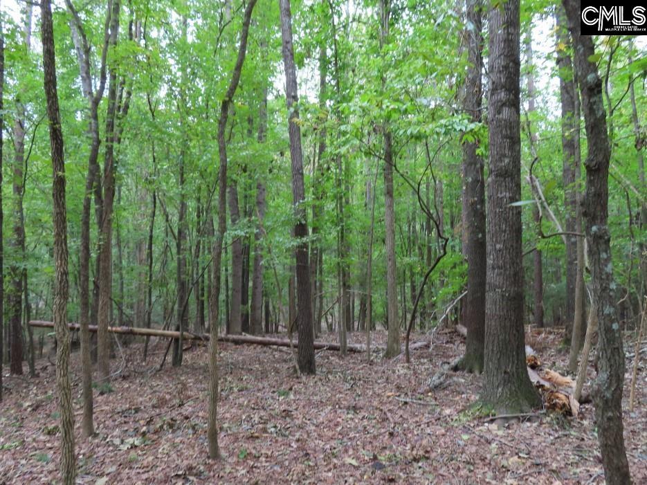 Starnes Road, Chesterfield, South Carolina image 22