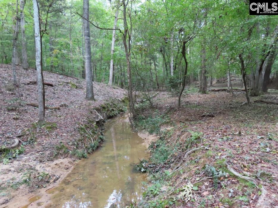 Starnes Road, Chesterfield, South Carolina image 24