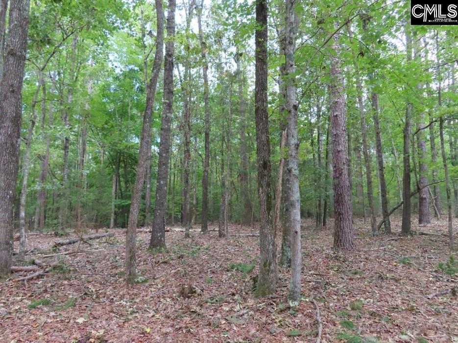 Starnes Road, Chesterfield, South Carolina image 25