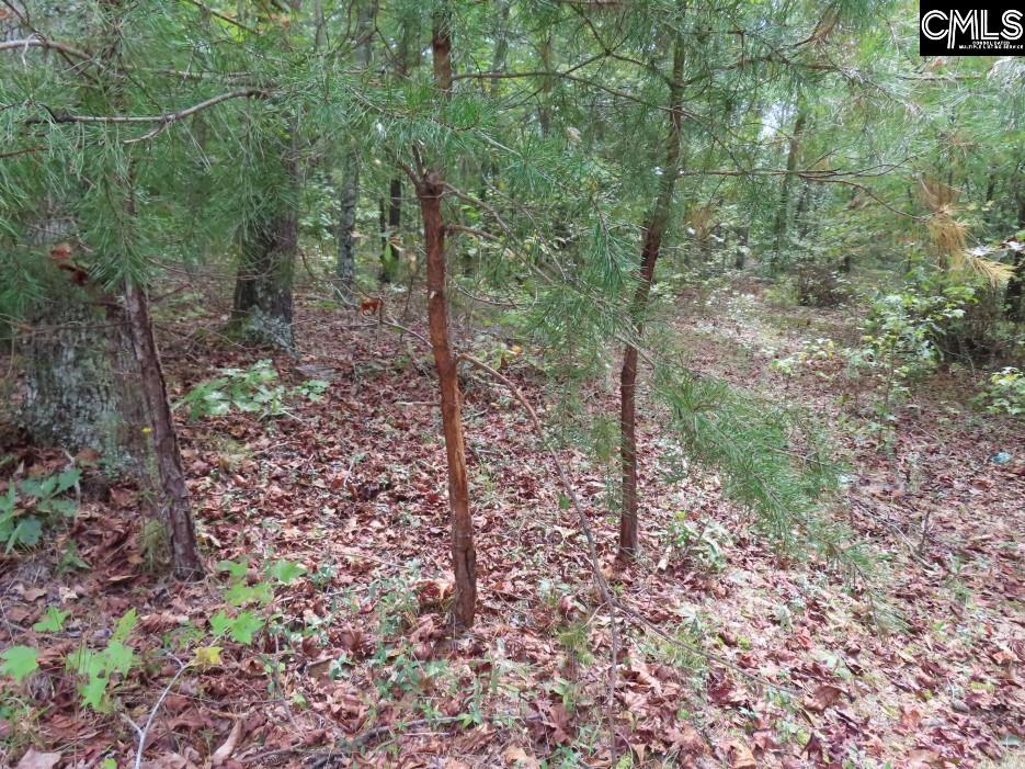 Starnes Road, Chesterfield, South Carolina image 26