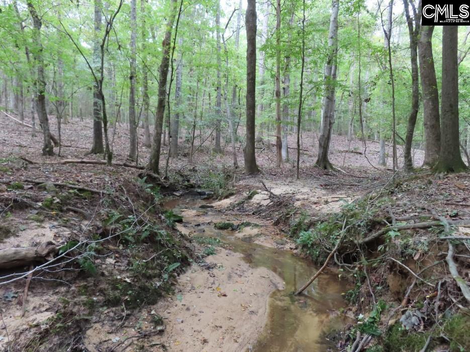Starnes Road, Chesterfield, South Carolina image 27