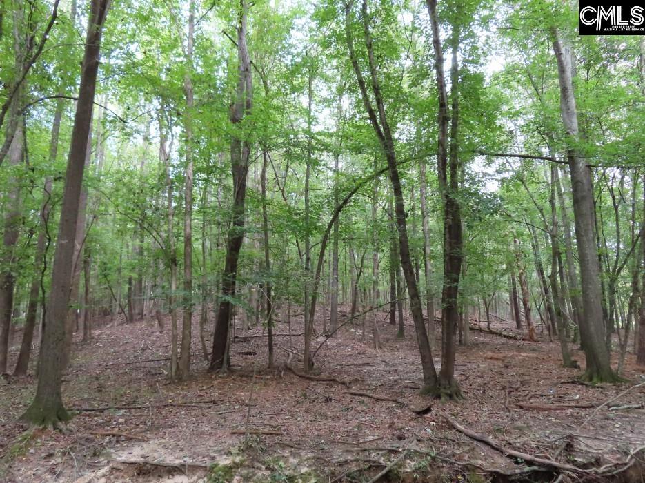 Starnes Road, Chesterfield, South Carolina image 28