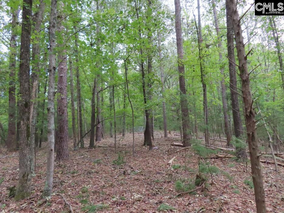 Starnes Road, Chesterfield, South Carolina image 30