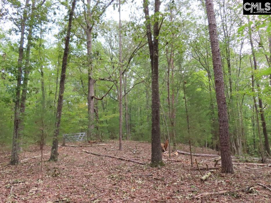 Starnes Road, Chesterfield, South Carolina image 4