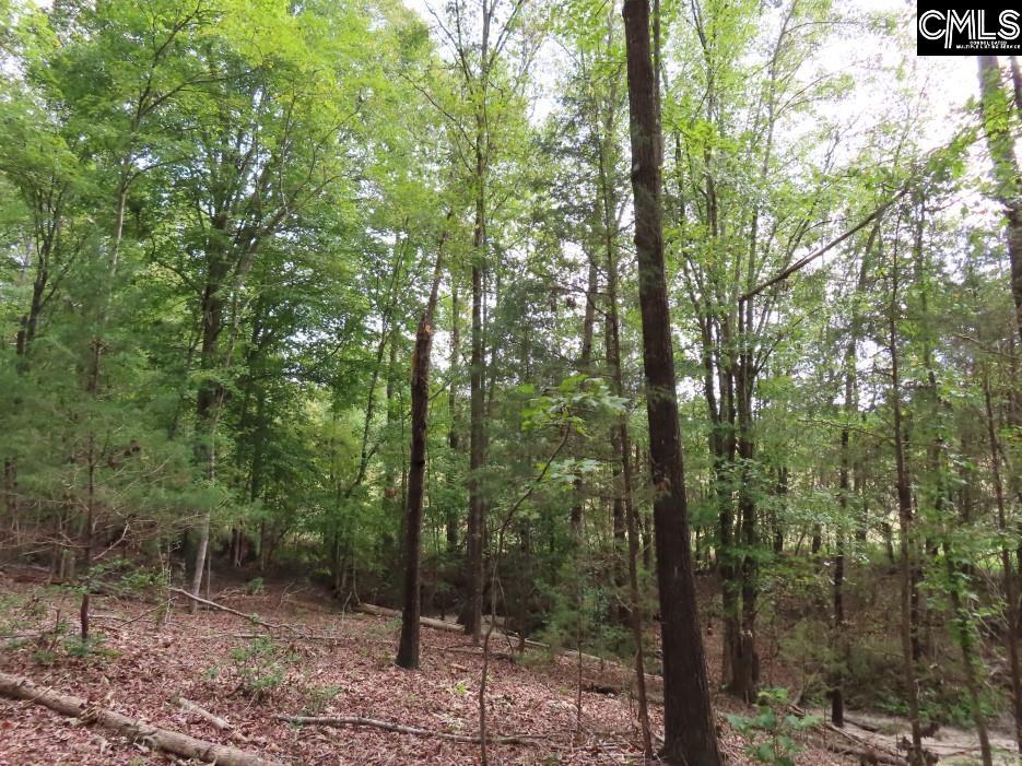 Starnes Road, Chesterfield, South Carolina image 32