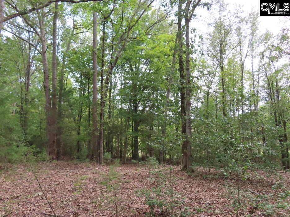 Starnes Road, Chesterfield, South Carolina image 34