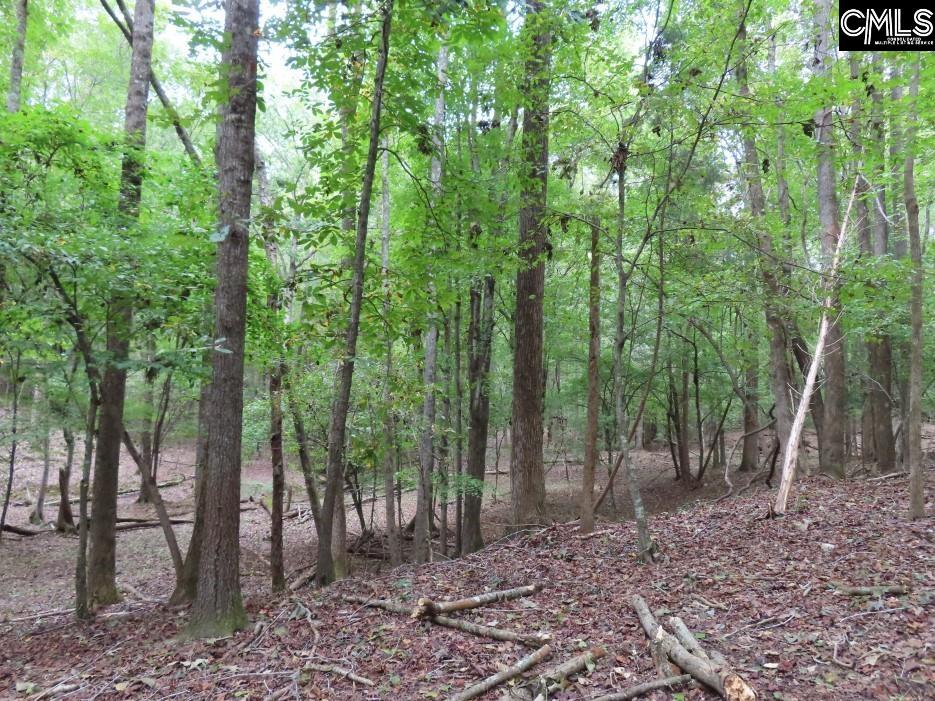 Starnes Road, Chesterfield, South Carolina image 35