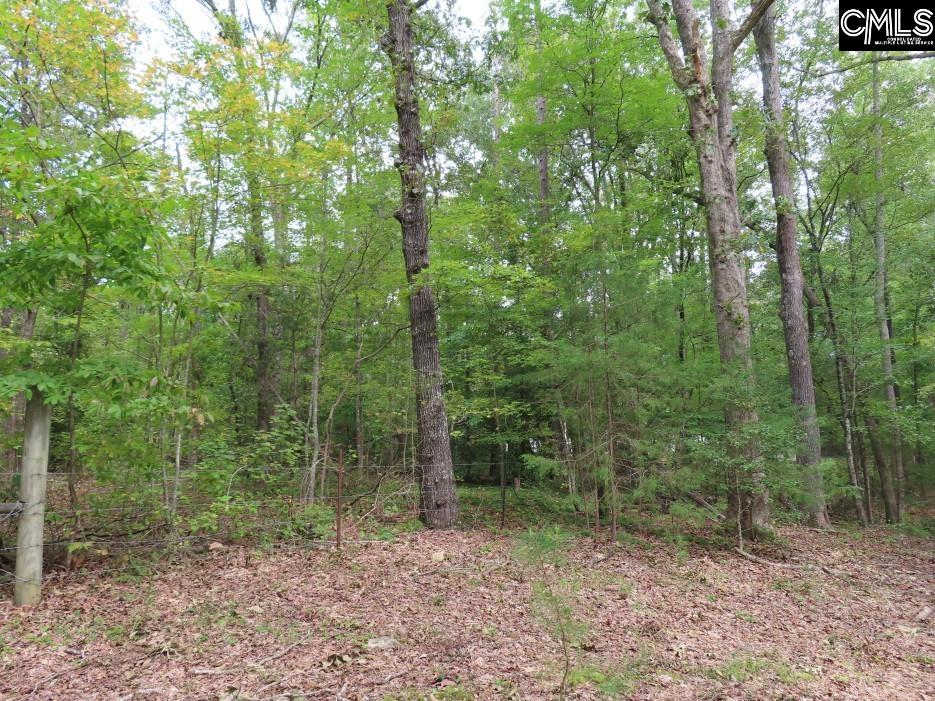 Starnes Road, Chesterfield, South Carolina image 36