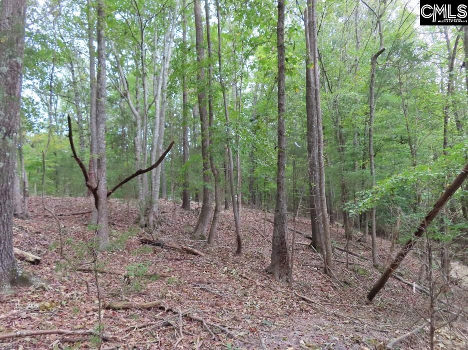 Starnes Road, Chesterfield, South Carolina image 37