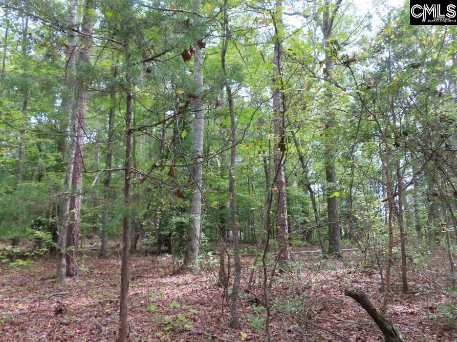 Starnes Road, Chesterfield, South Carolina image 38