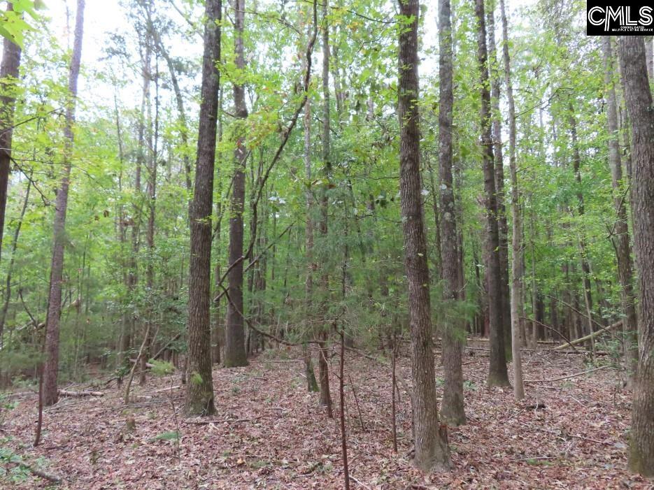 Starnes Road, Chesterfield, South Carolina image 39
