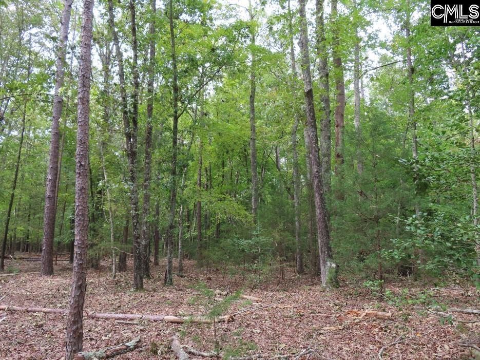 Starnes Road, Chesterfield, South Carolina image 40