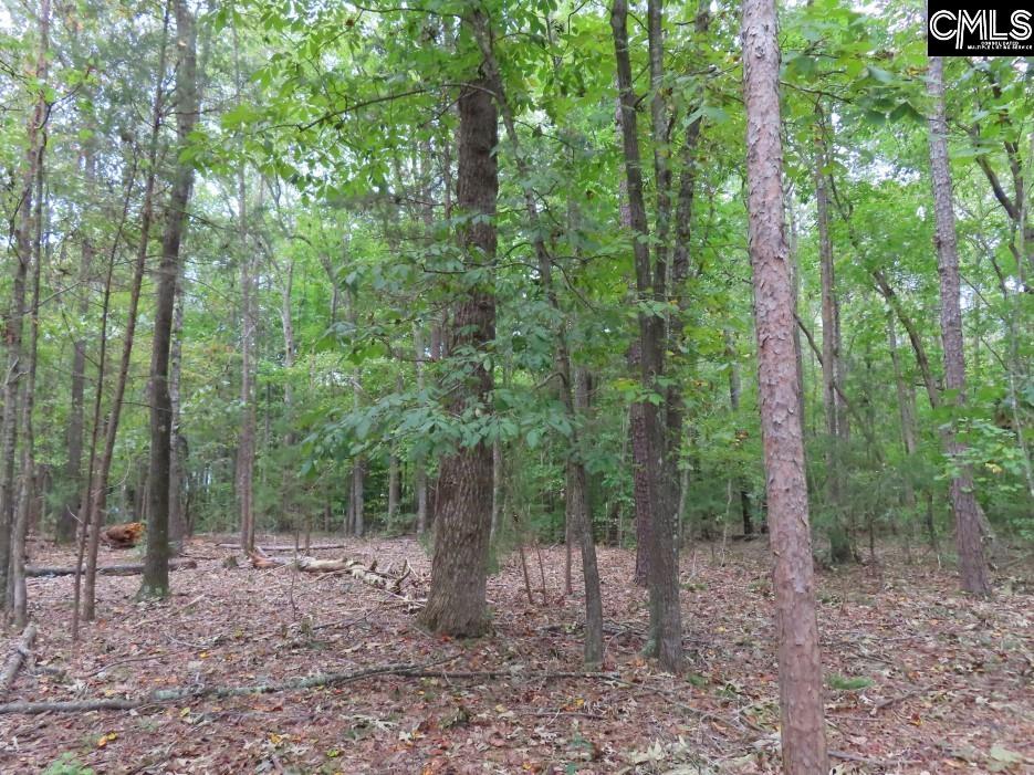 Starnes Road, Chesterfield, South Carolina image 7