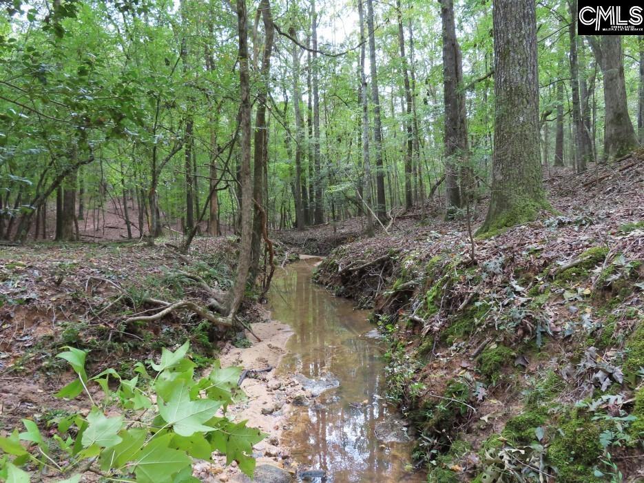 Starnes Road, Chesterfield, South Carolina image 9