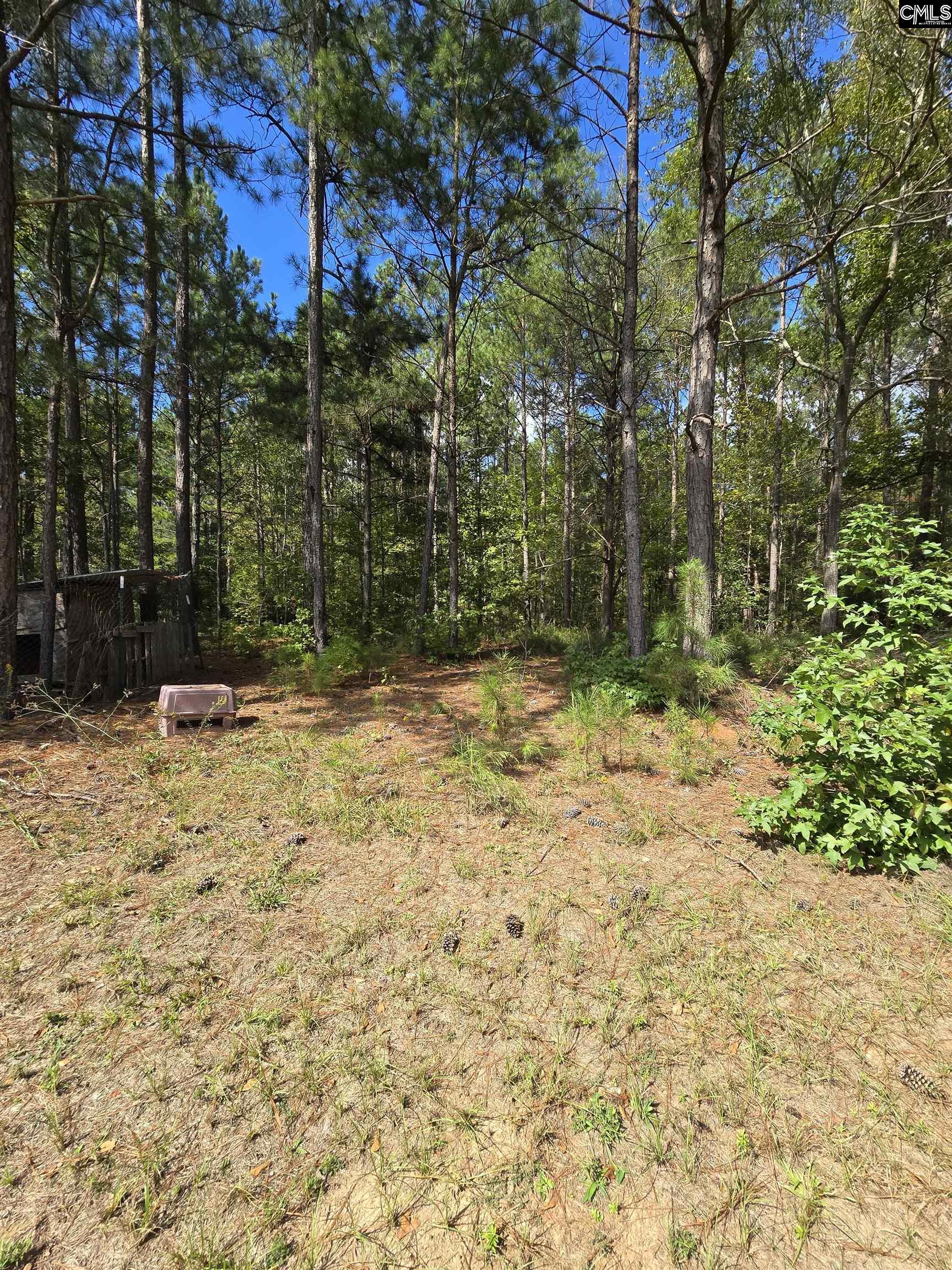 482 Weldon Lane, Ridgeway, South Carolina image 9