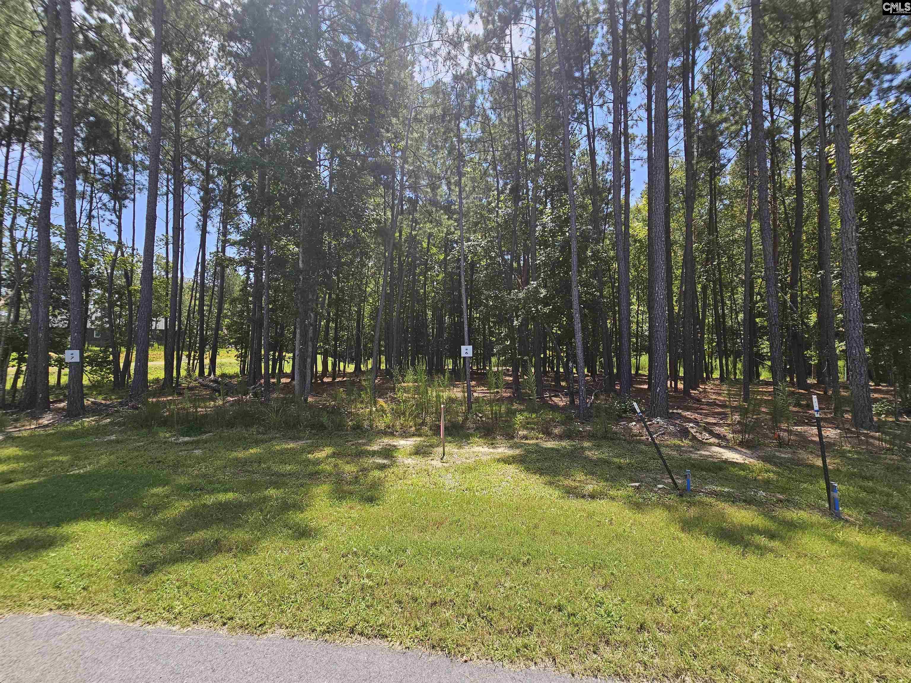 Stewart Landing Drive UNIT #6 Prosperity, SC 29127