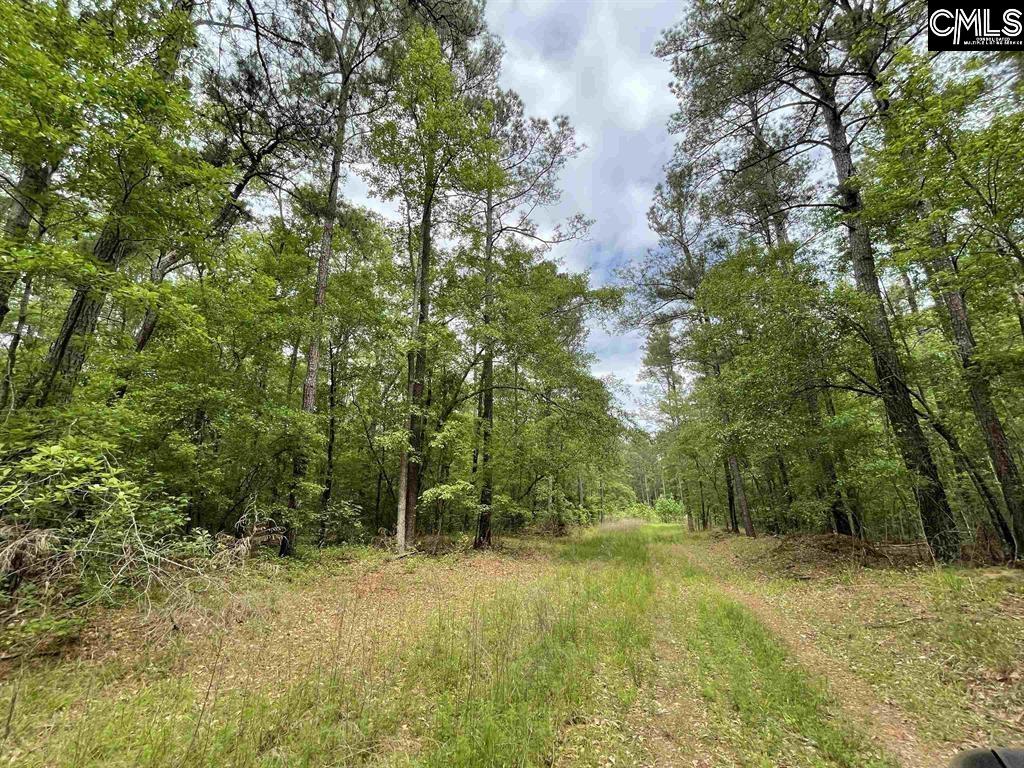 Bull Swamp Road North, SC 29112