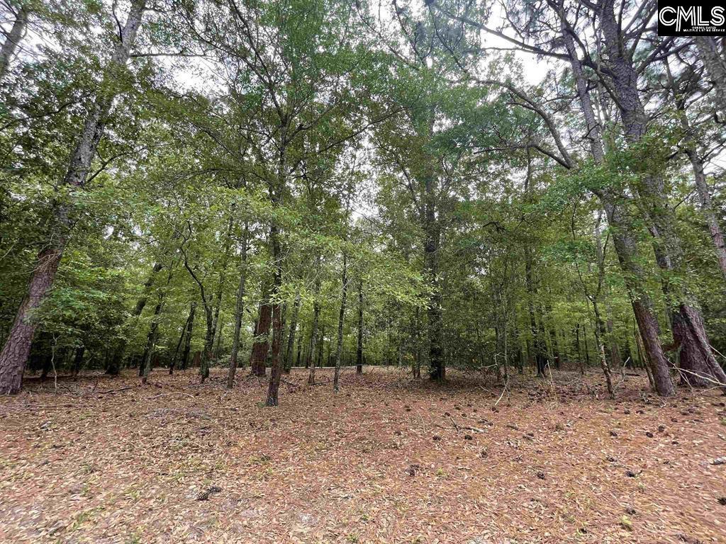 Bull Swamp Road, North, South Carolina image 11