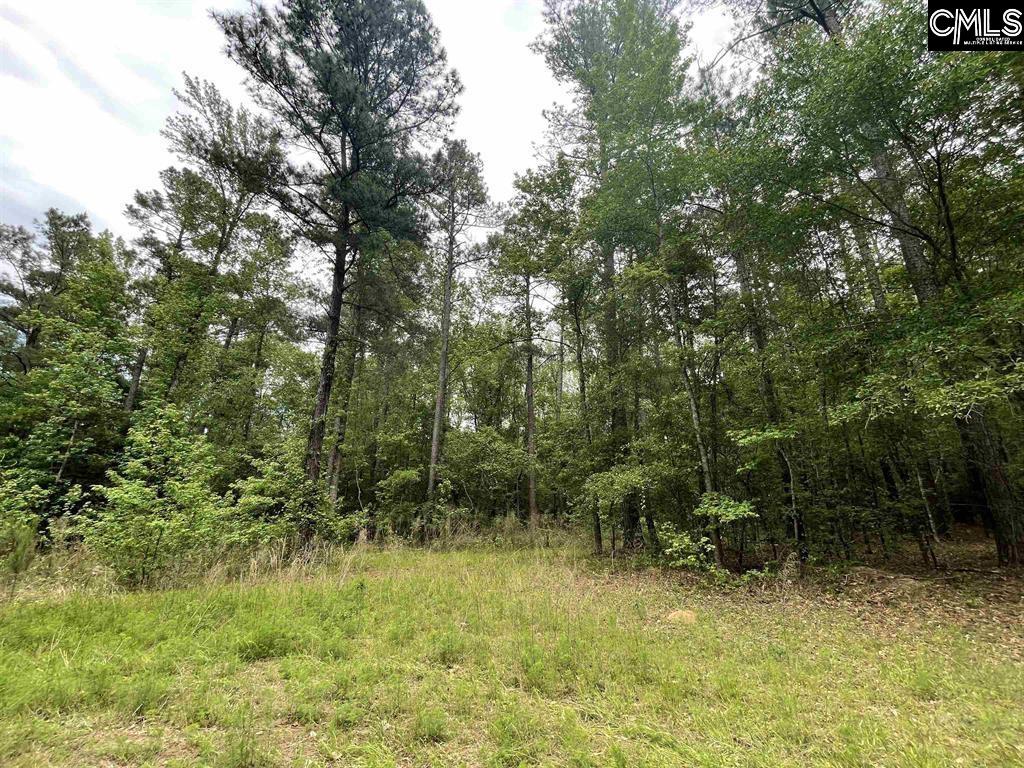 Bull Swamp Road, North, South Carolina image 12