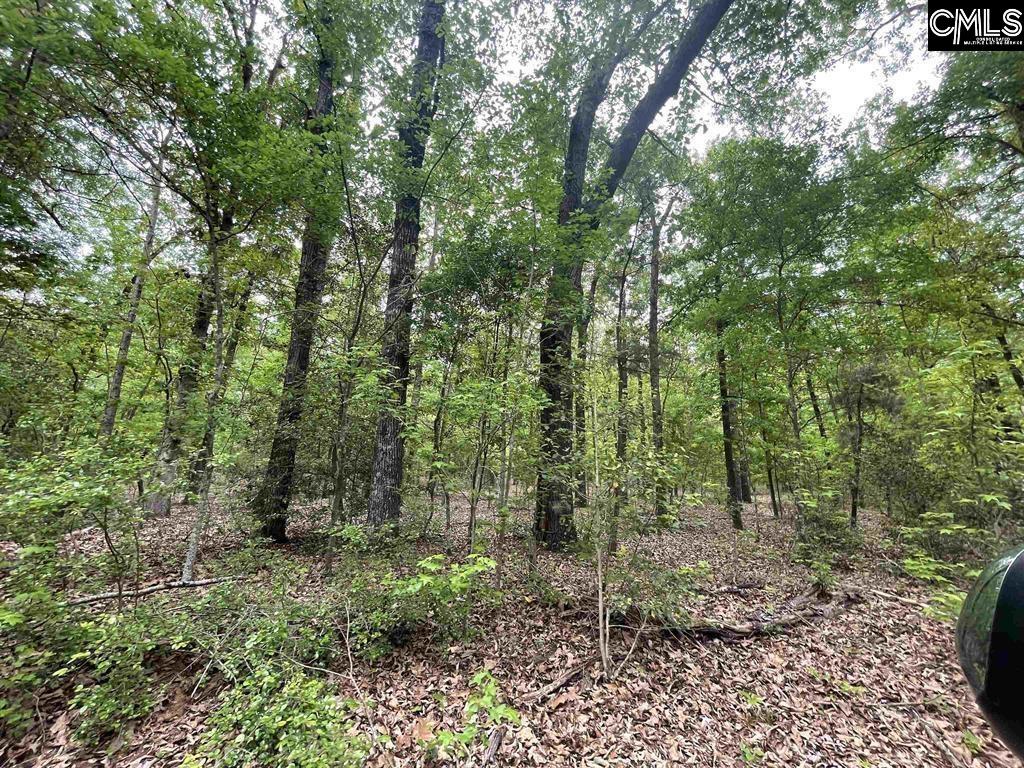 Bull Swamp Road, North, South Carolina image 18