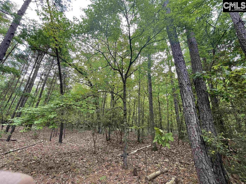 Bull Swamp Road, North, South Carolina image 24