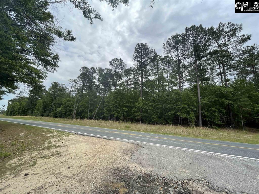 Bull Swamp Road, North, South Carolina image 7