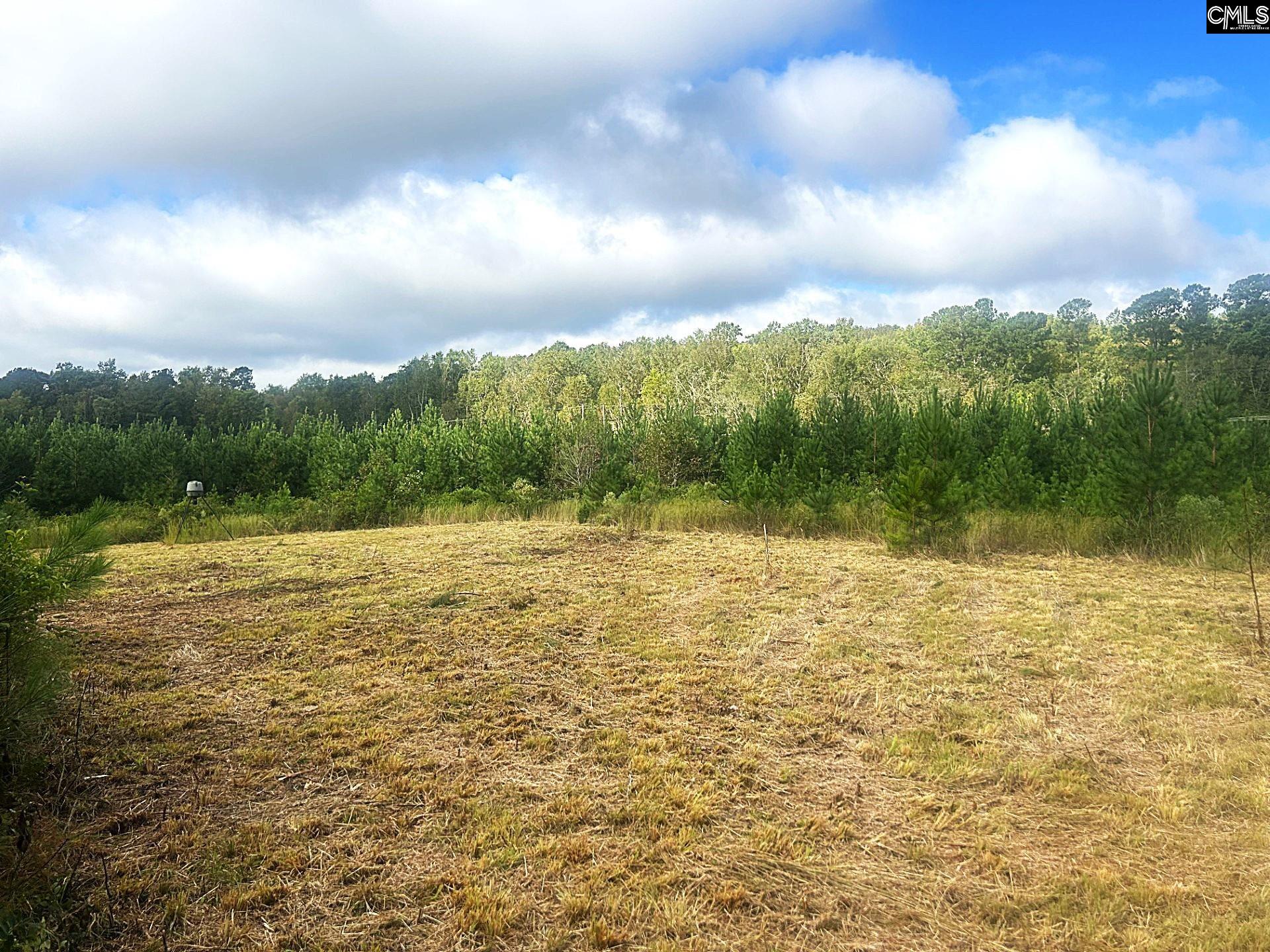 Tbd Mt. Pilgrim Church Road Prosperity, SC 29127