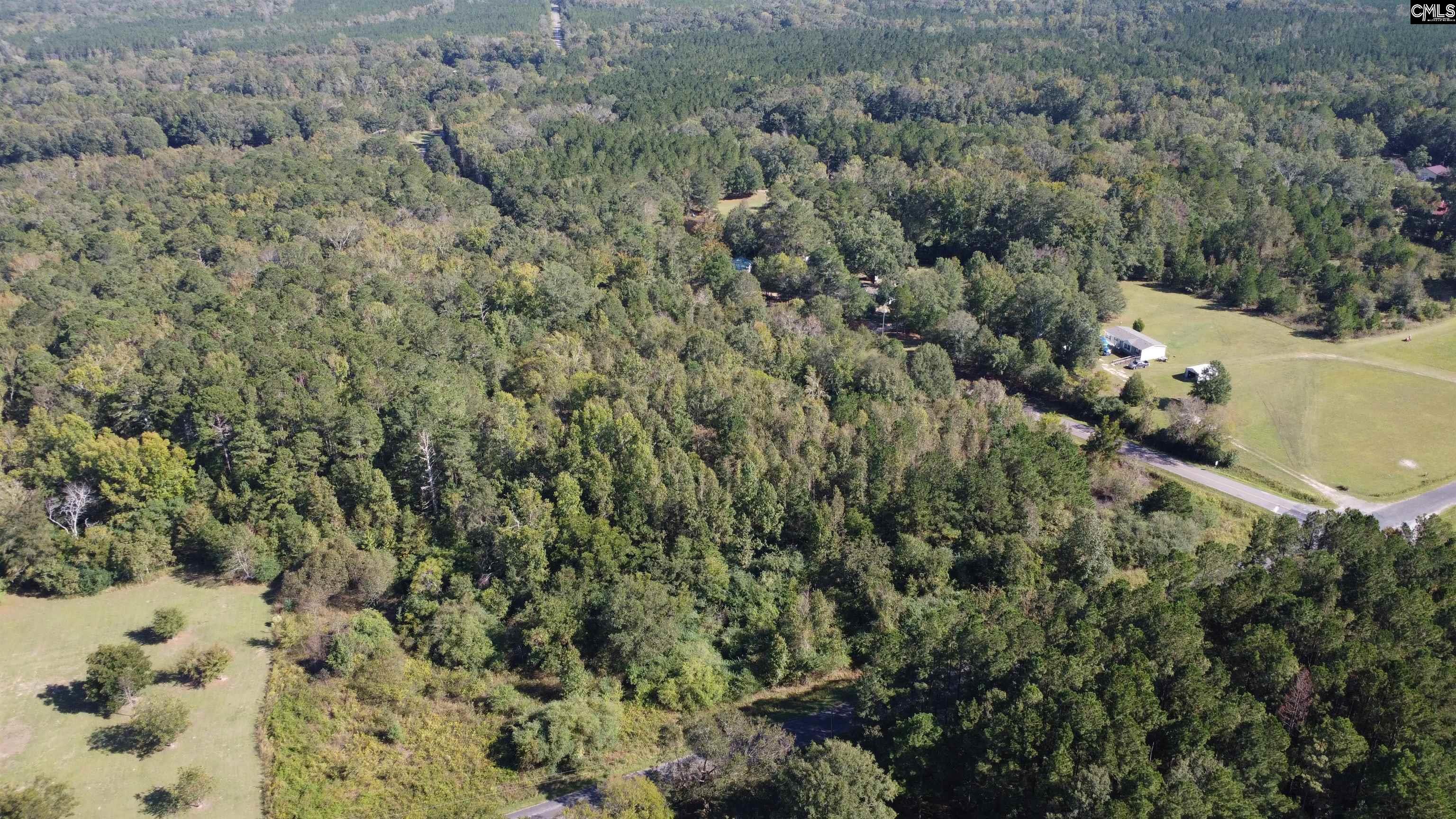 Beulah Road, Leesville, South Carolina image 3