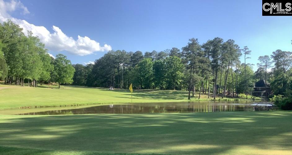 301 Fairway Pond Court, Chapin, South Carolina image 44