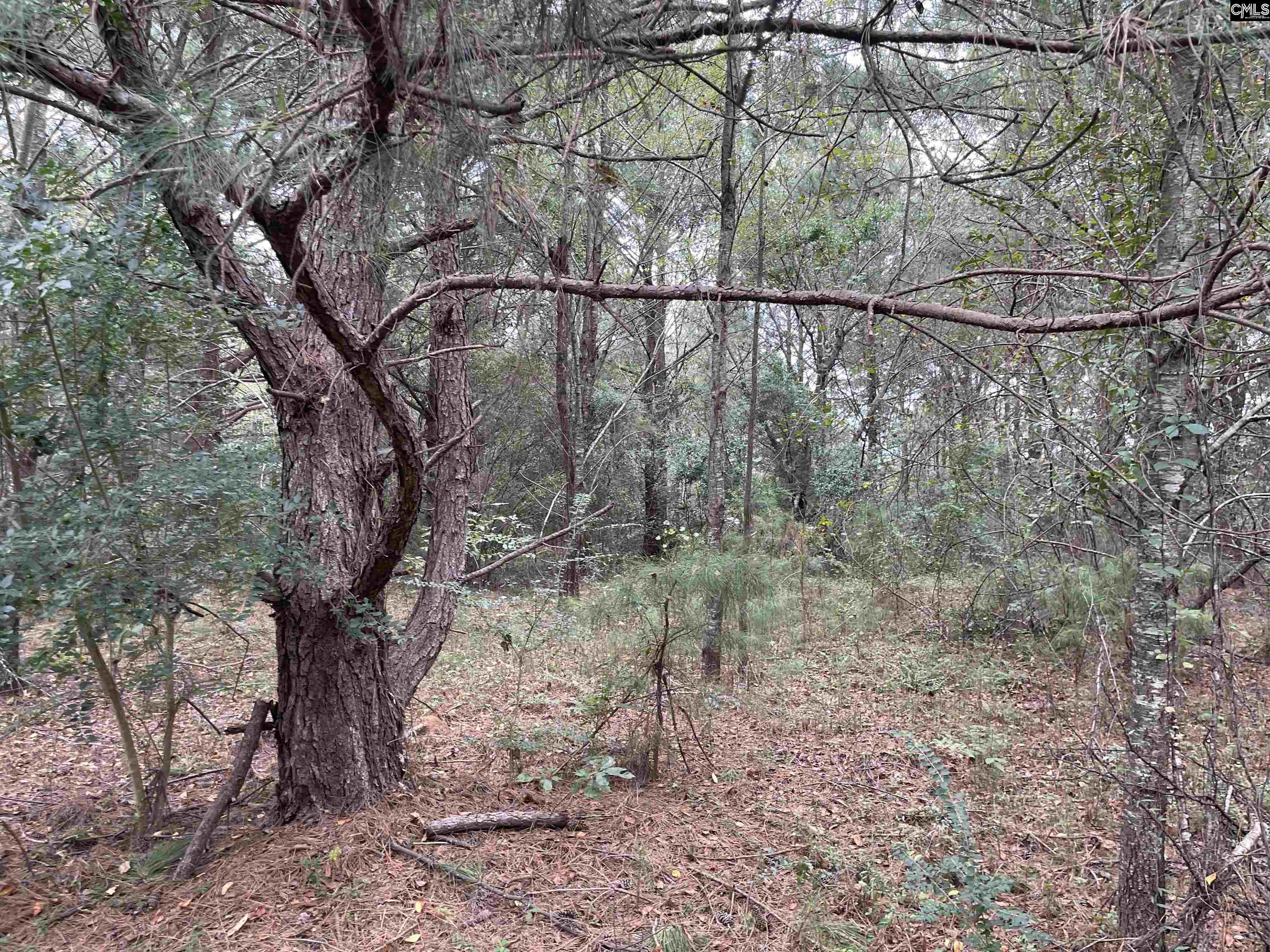 00 Honeysuckle Trail, Salley, South Carolina image 4