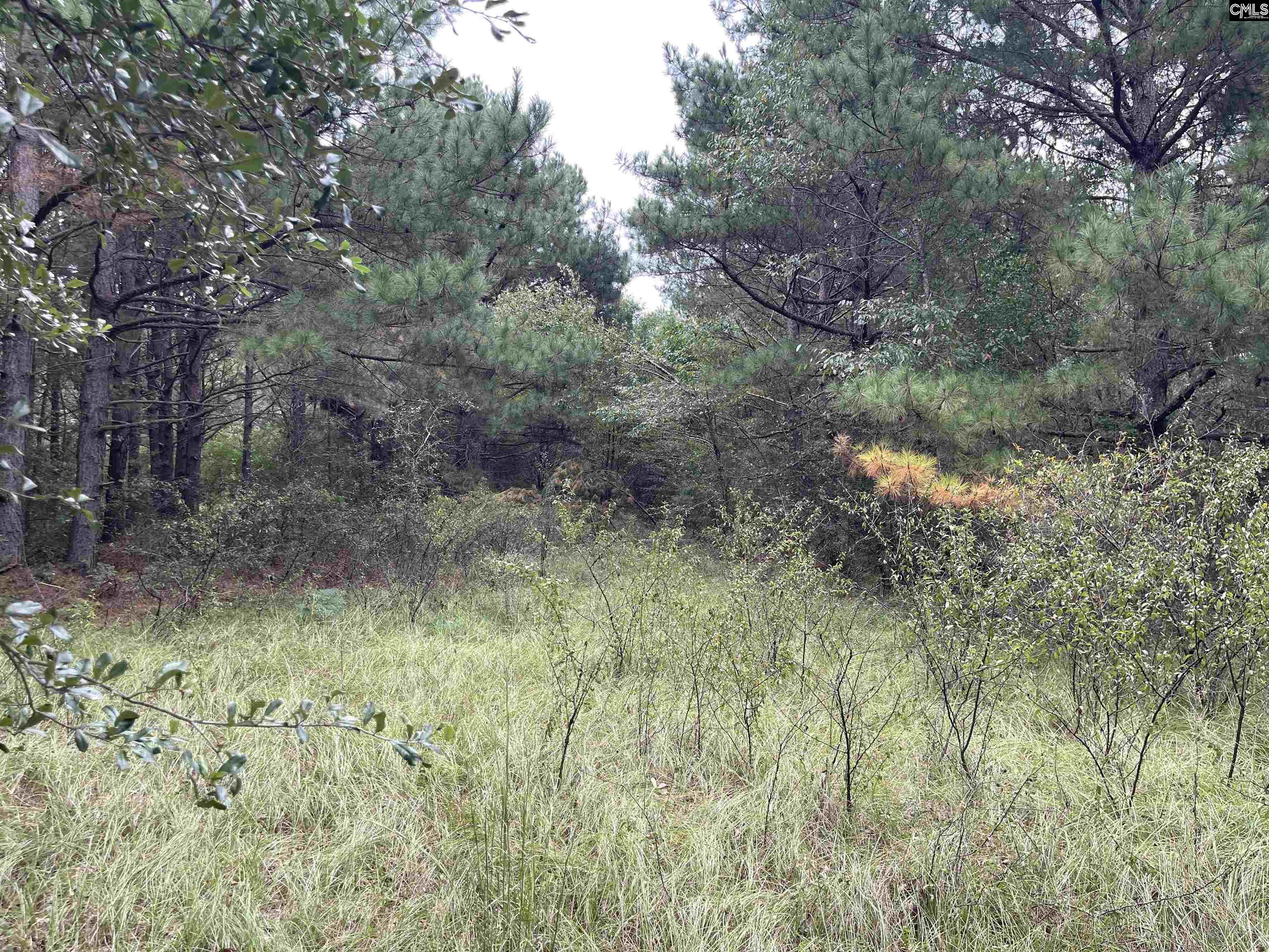 00 Honeysuckle Trail, Salley, South Carolina image 5