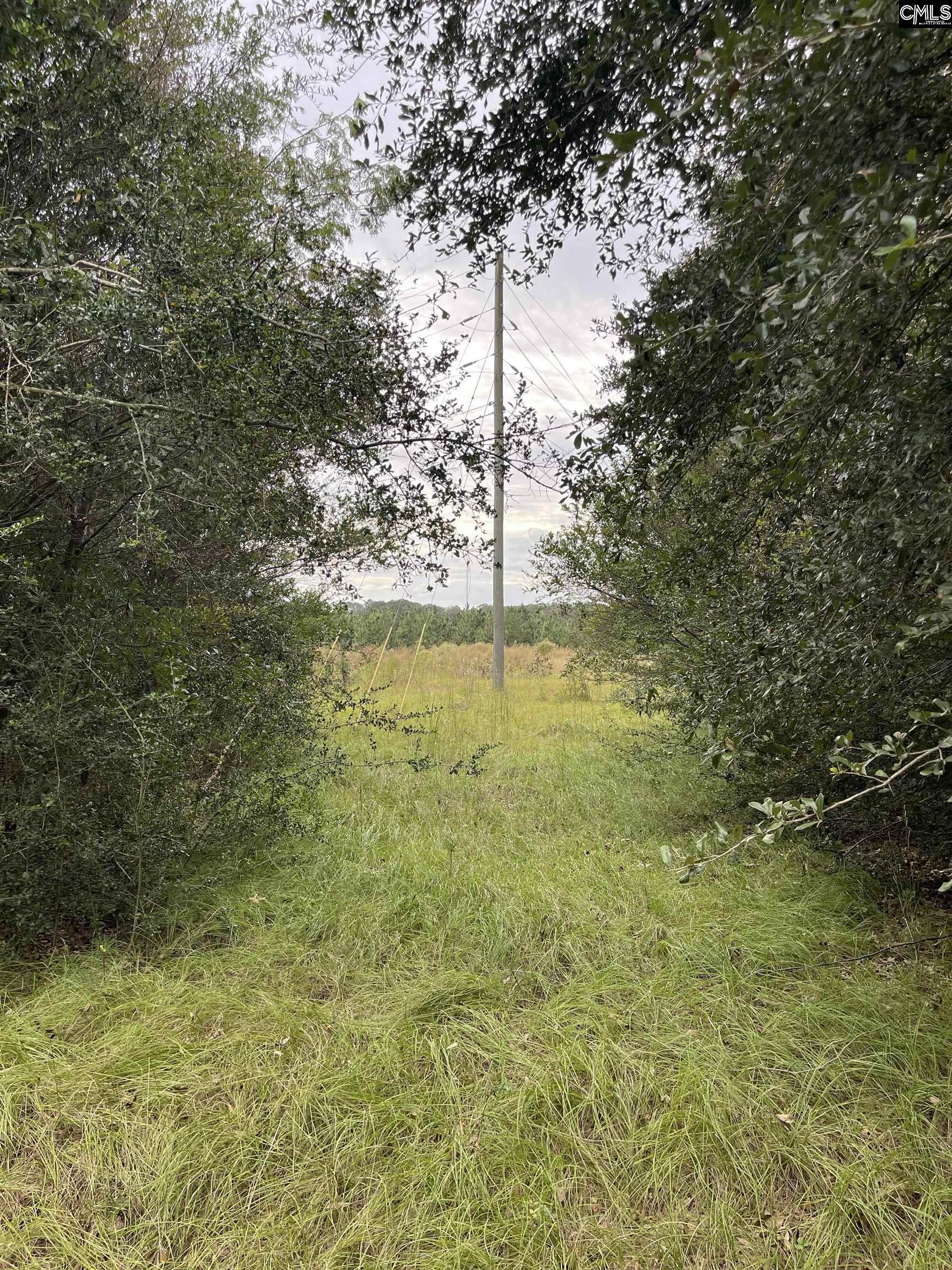 00 Honeysuckle Trail, Salley, South Carolina image 9