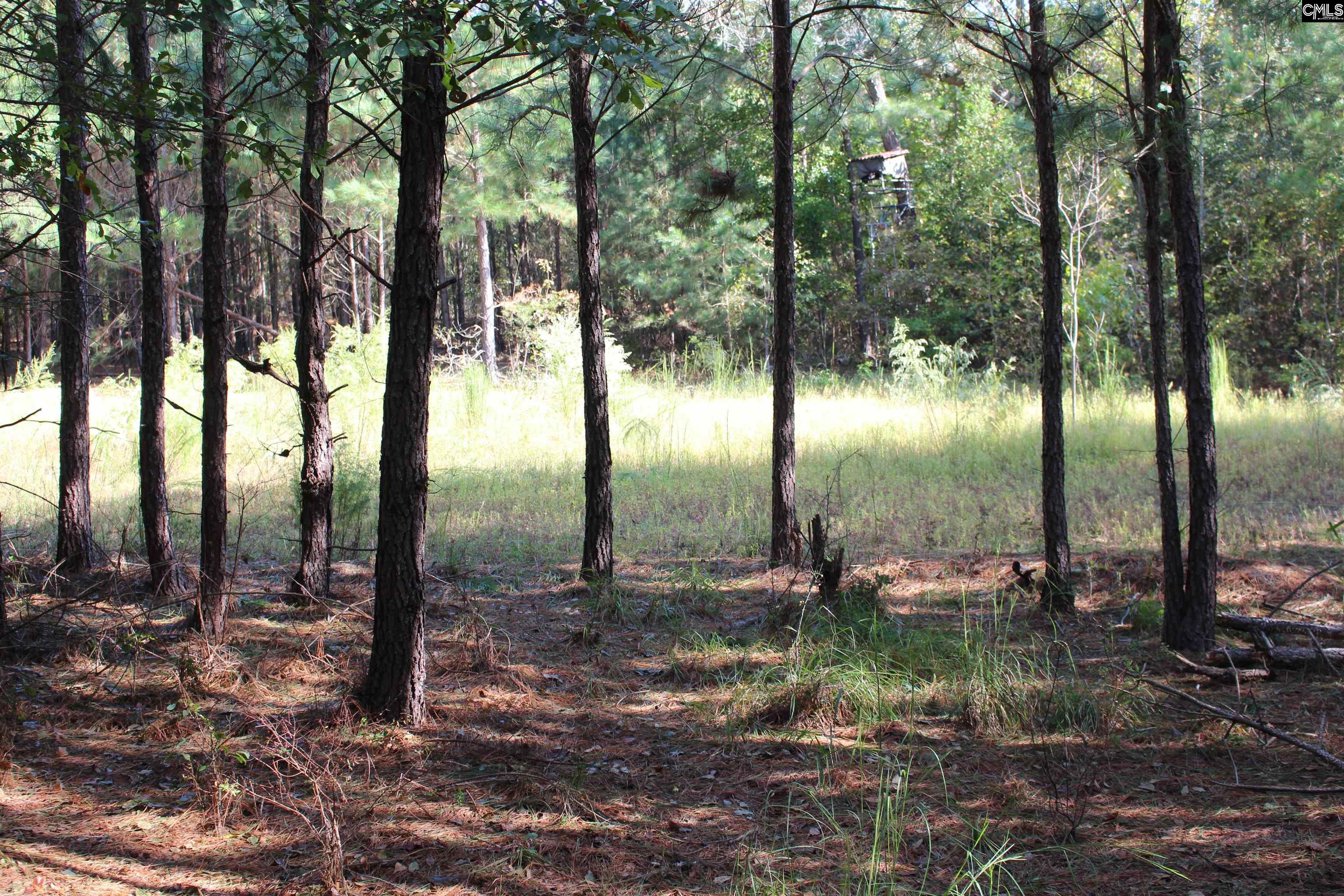 Grady Pond Rd, Wagener, South Carolina image 1