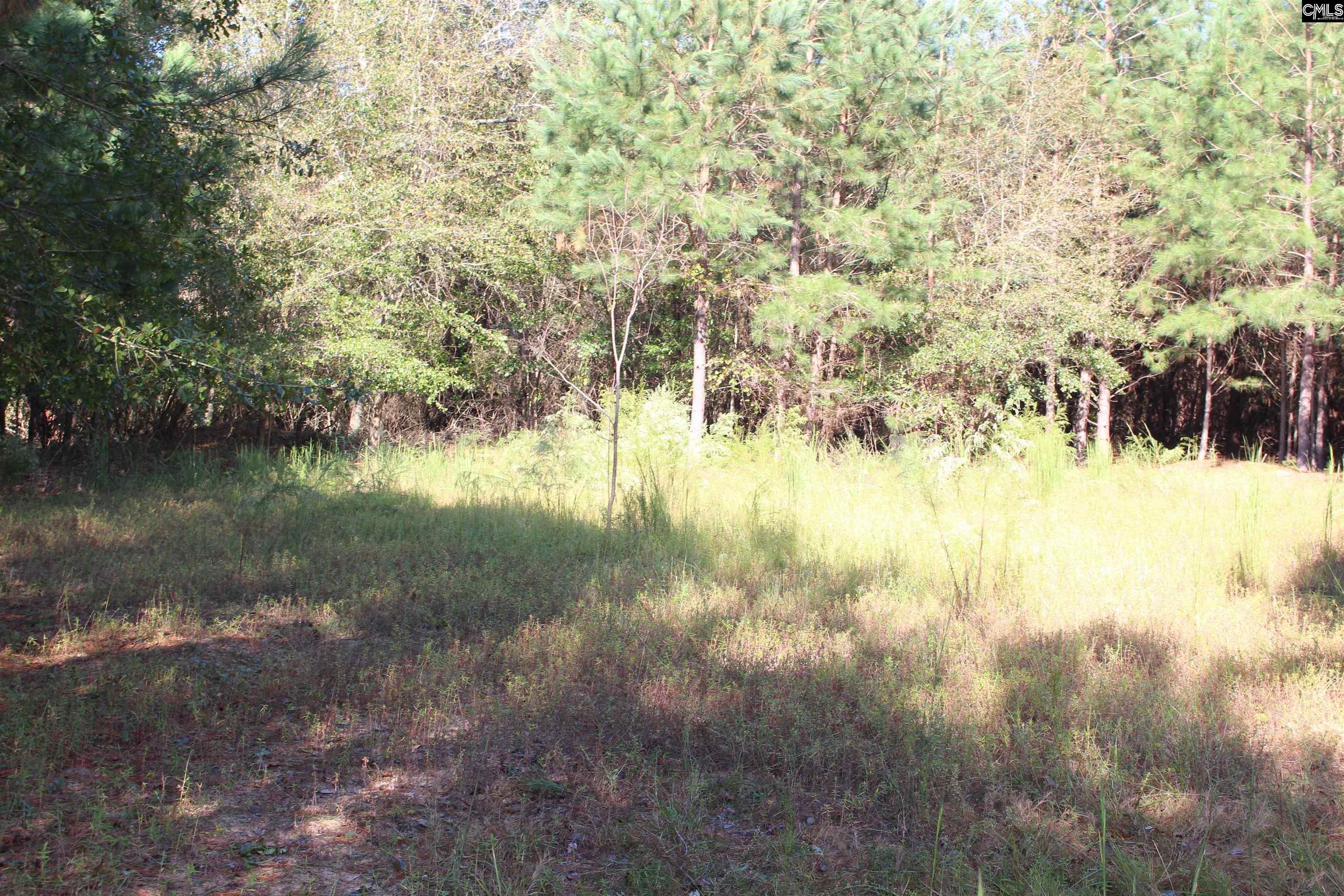 Grady Pond Rd, Wagener, South Carolina image 11