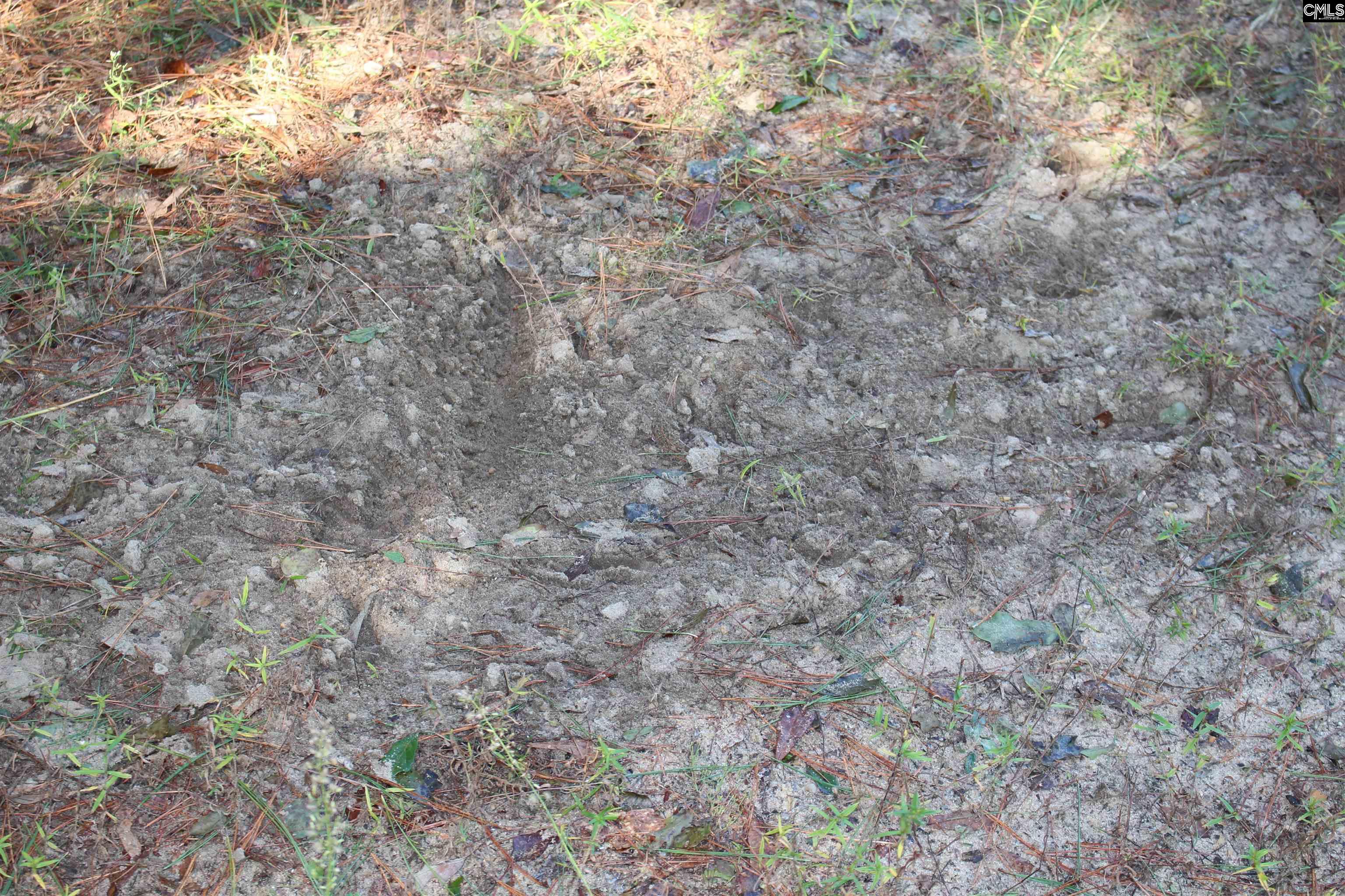 Grady Pond Rd, Wagener, South Carolina image 12