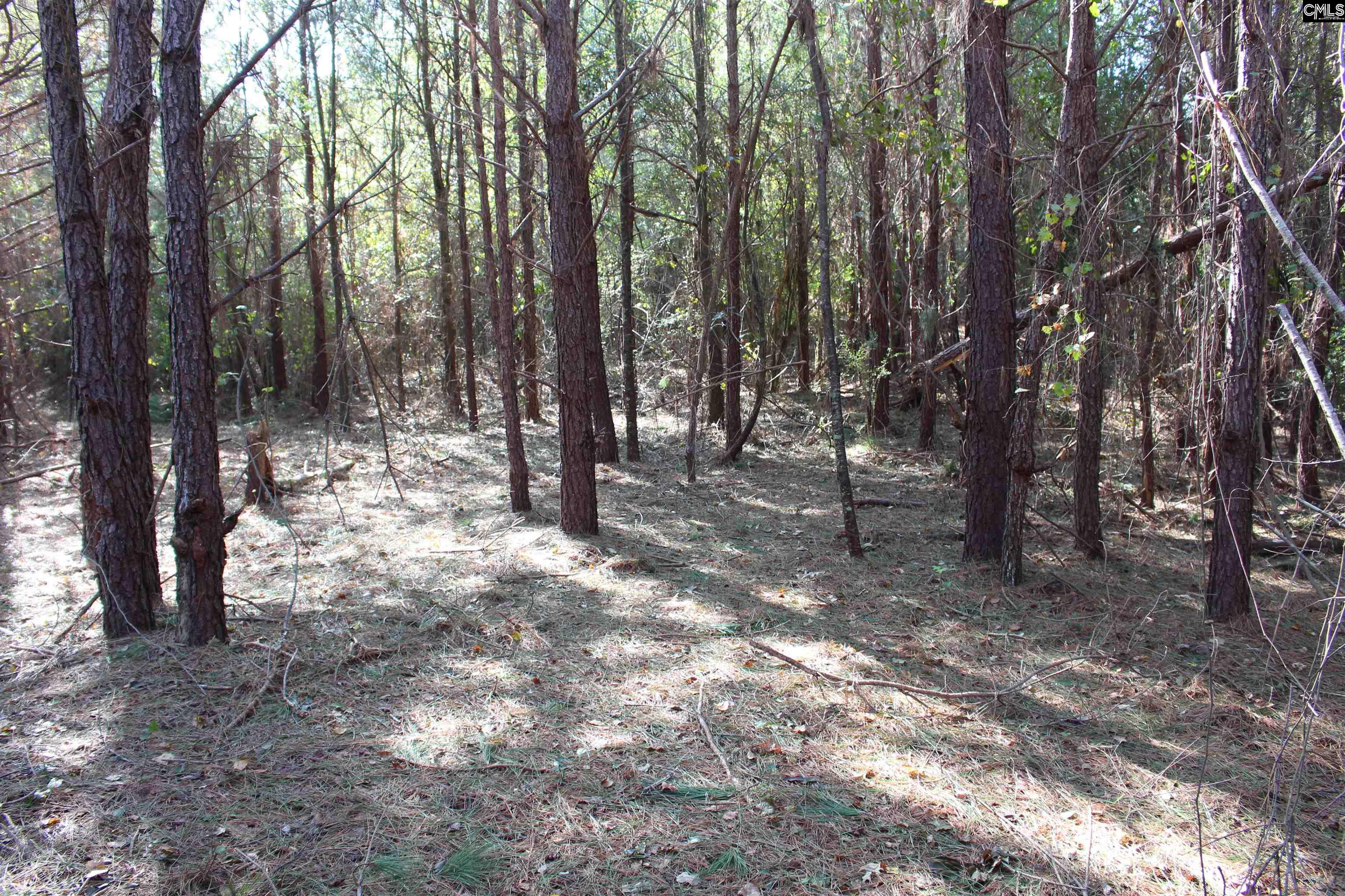 Grady Pond Rd, Wagener, South Carolina image 14