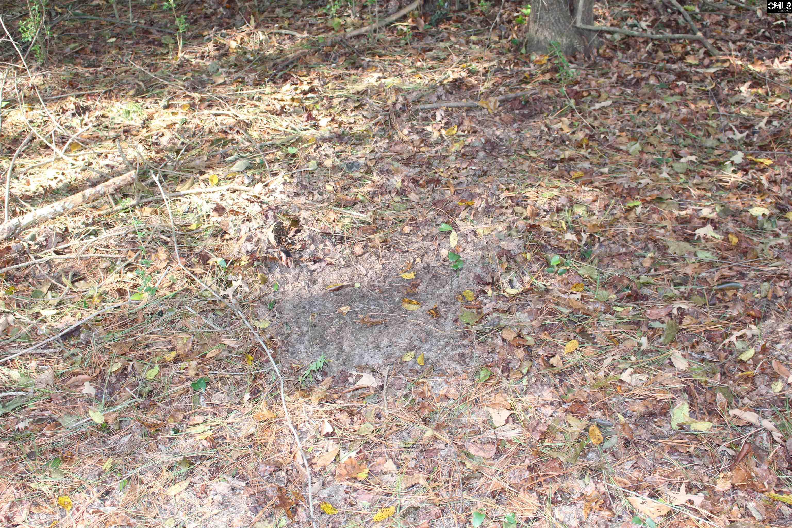 Grady Pond Rd, Wagener, South Carolina image 15