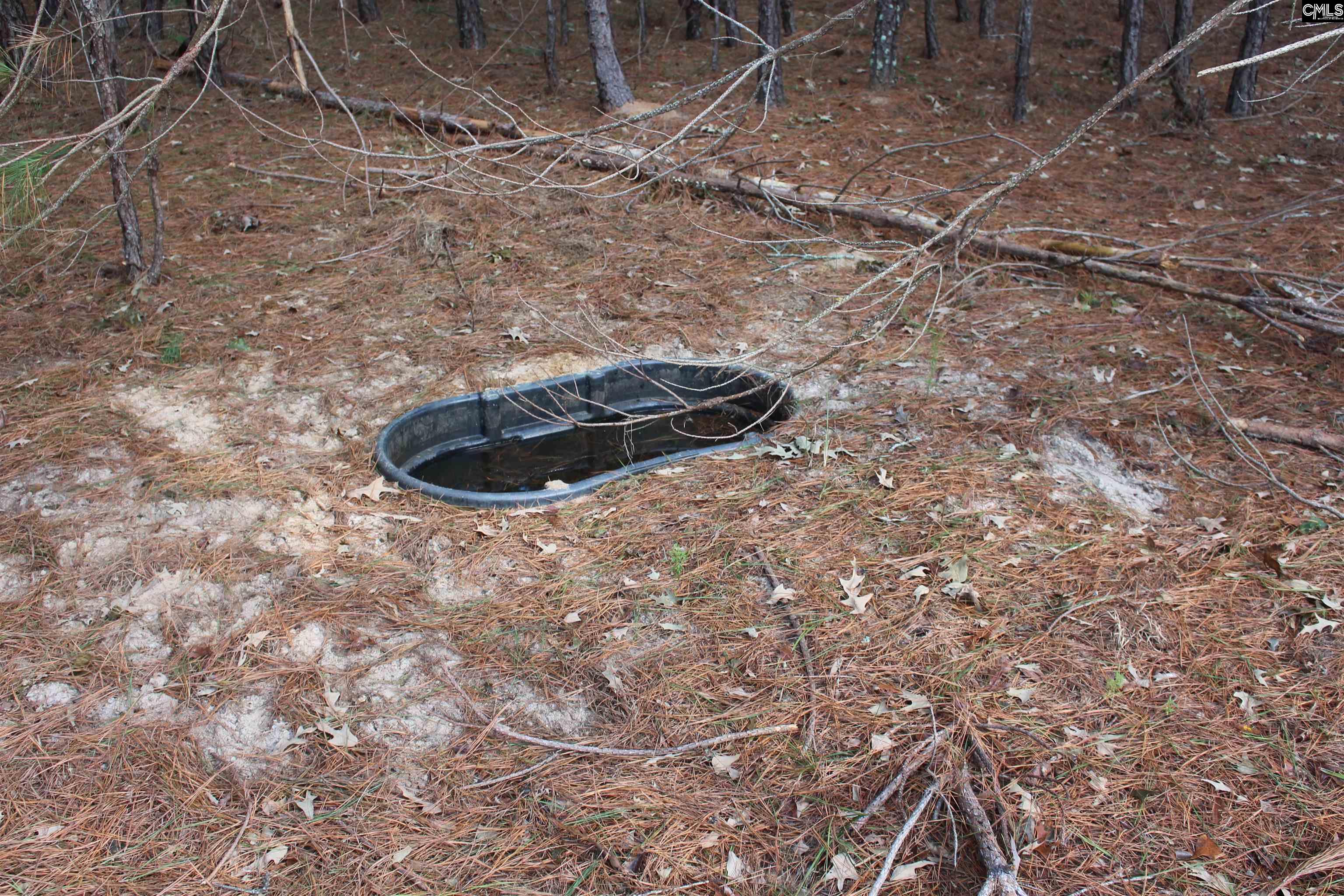 Grady Pond Rd, Wagener, South Carolina image 16
