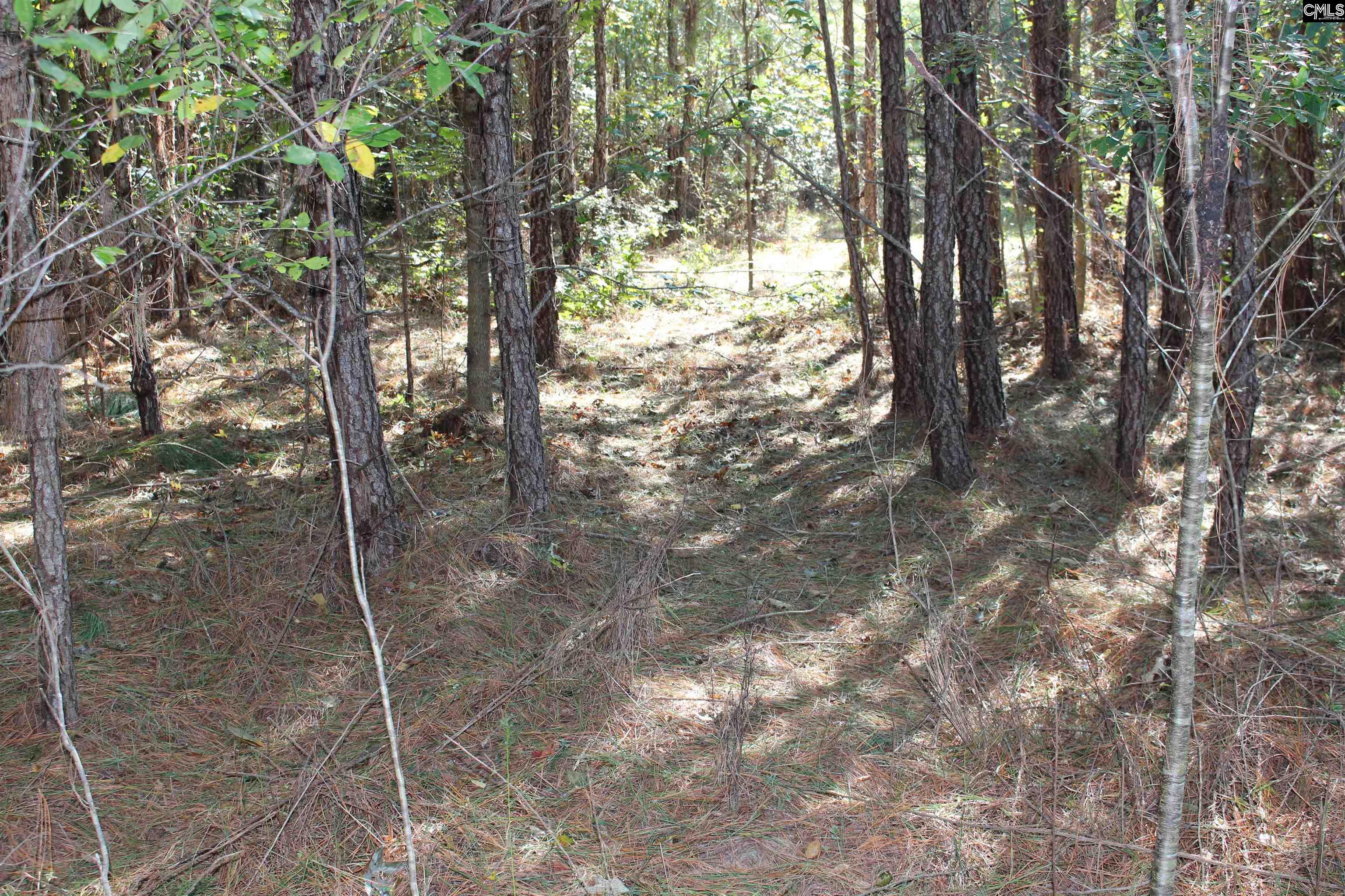 Grady Pond Rd, Wagener, South Carolina image 8
