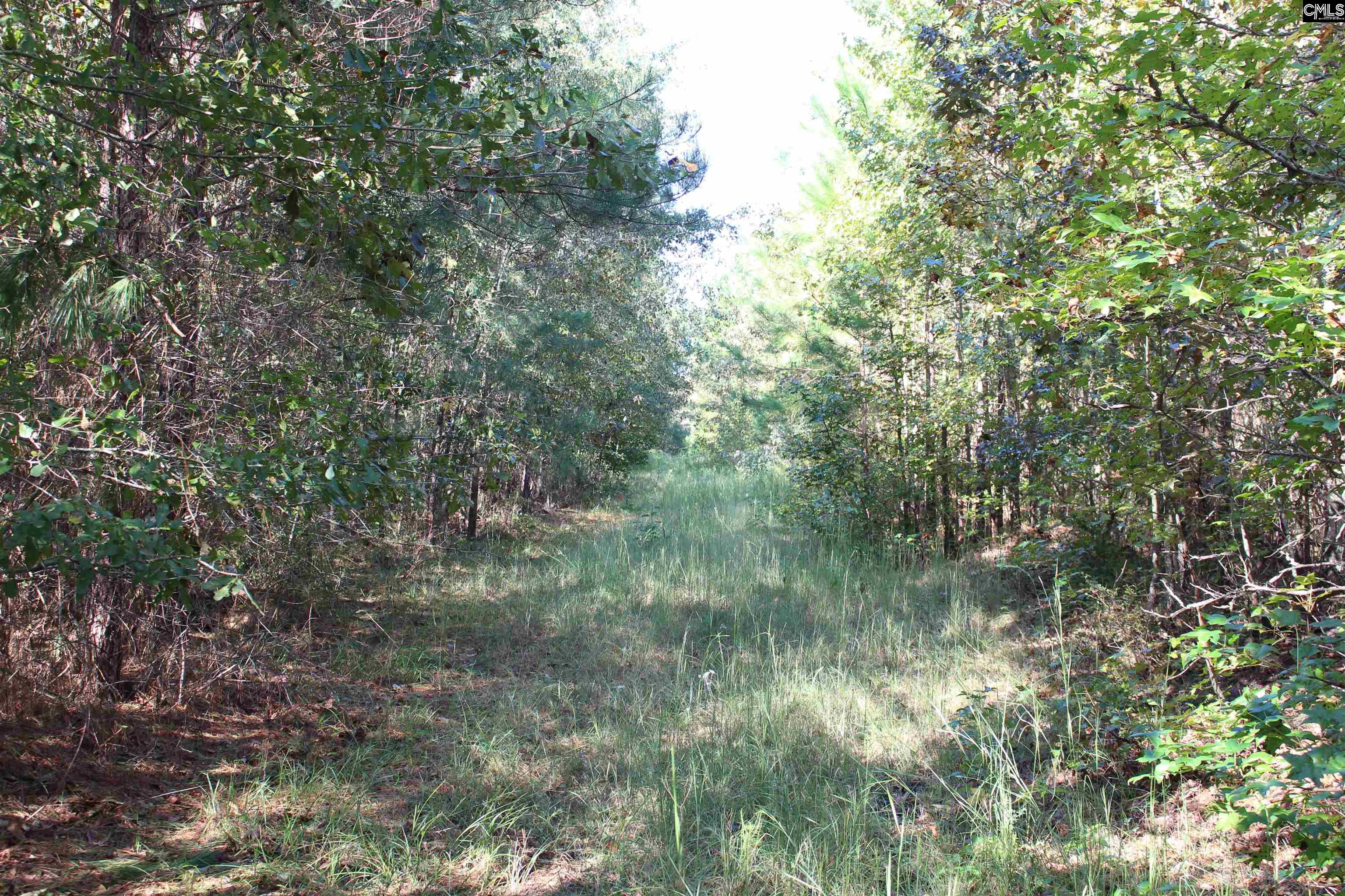 Grady Pond Rd, Wagener, South Carolina image 9