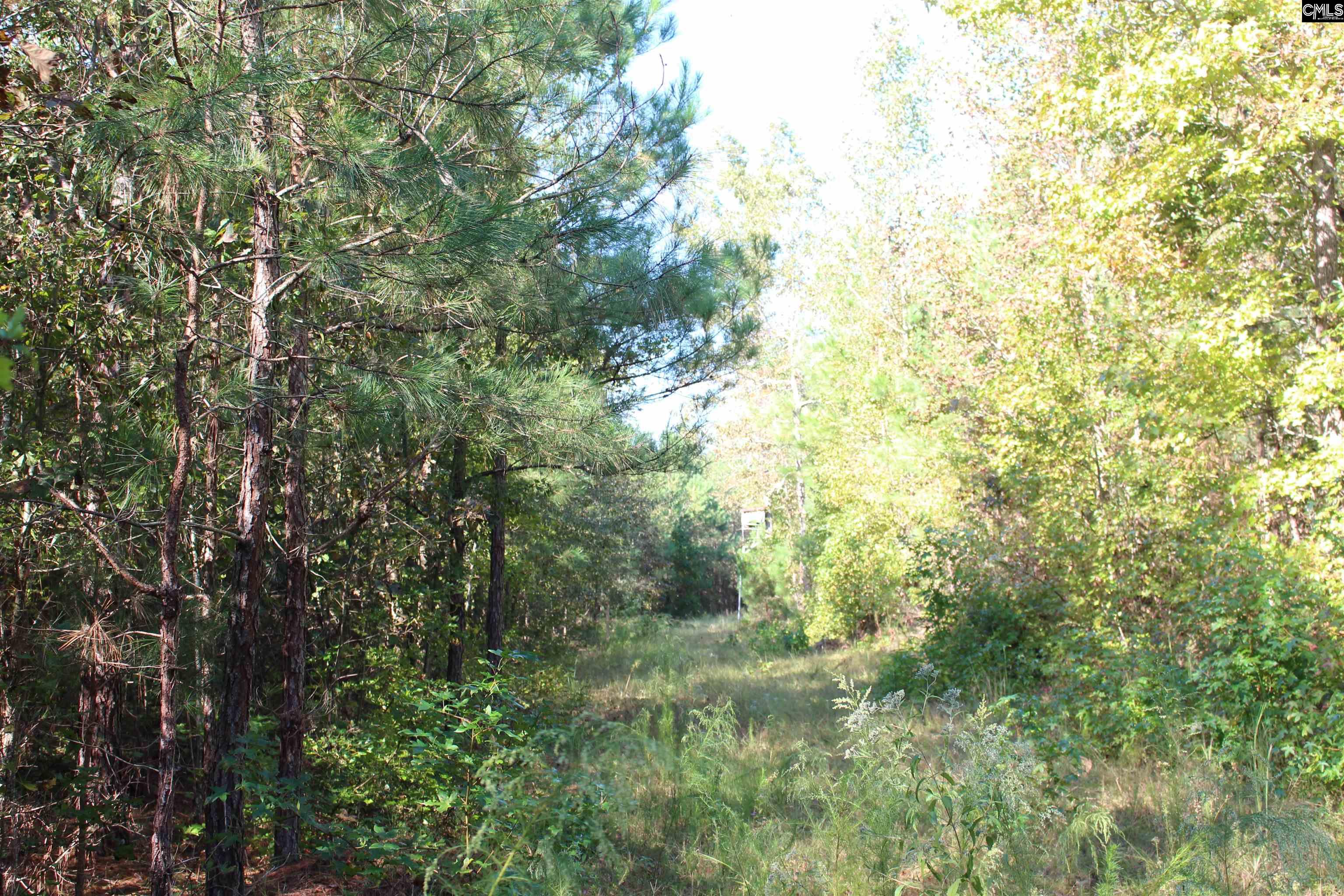Grady Pond Rd, Wagener, South Carolina image 10
