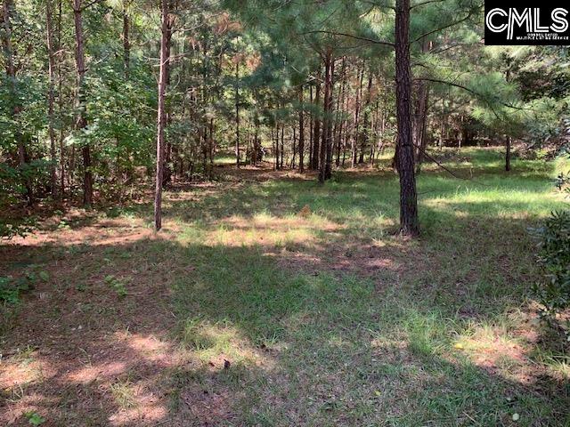 Wateree Estates Road, Winnsboro, South Carolina image 2