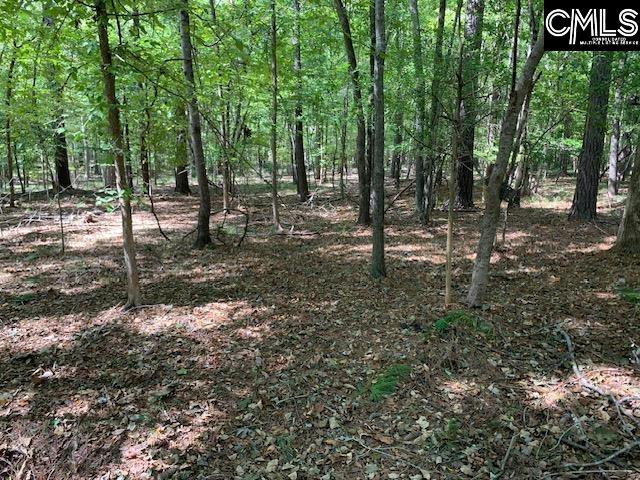 Wateree Estates Road, Winnsboro, South Carolina image 3